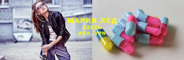 гашик Абинск