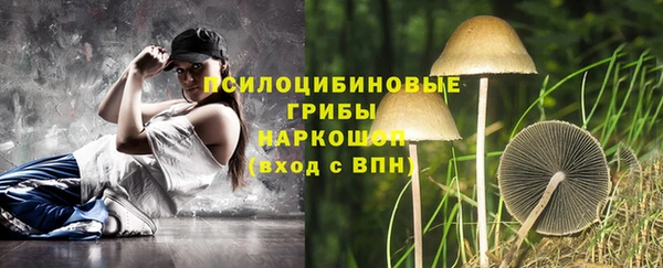 гашик Абинск
