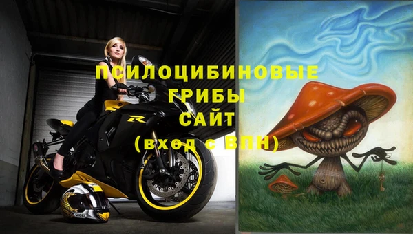 тгк Абдулино