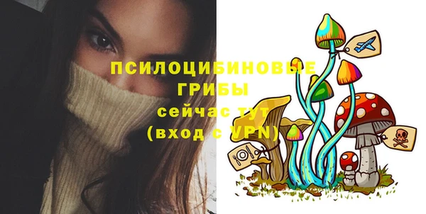 тгк Абдулино