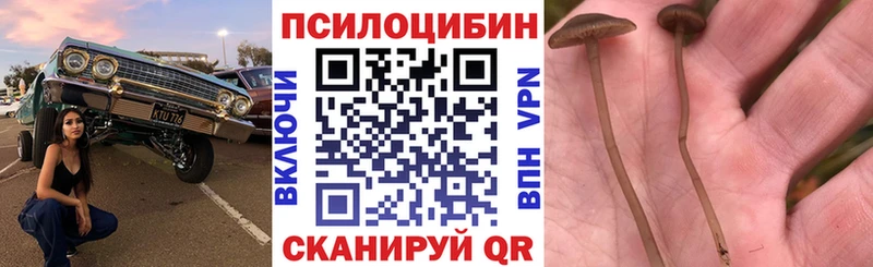 где купить наркотик  Батайск  Псилоцибиновые грибы мицелий 